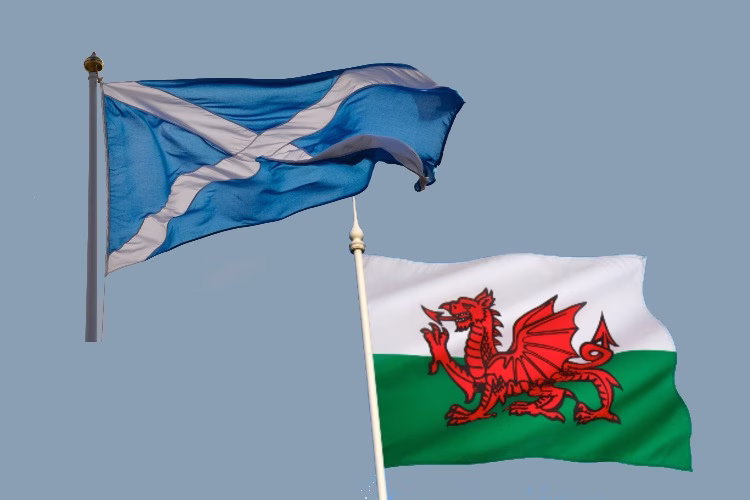 Tax E-news - January 2025