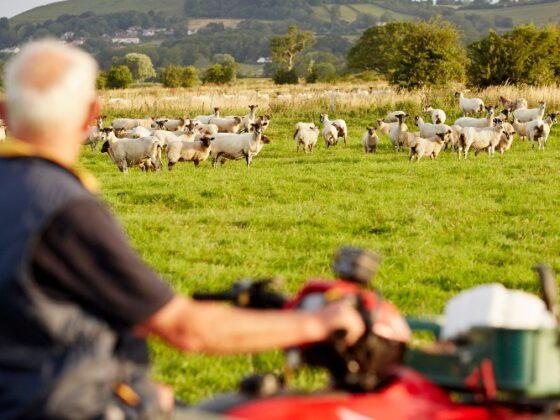 Agricultural and business property relief